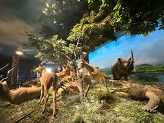 -国家自然博物馆