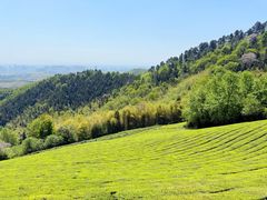 -敬亭山风景名胜区