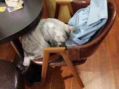 -H立方实景剧情密室(天河旗舰店)