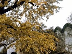 -惠山古镇·寄畅园