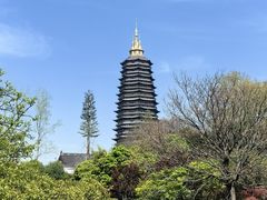-红梅公园