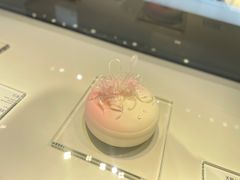 -BLACKSWAN黑天鹅(环球店)