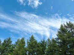 -塞罕坝国家级自然保护区