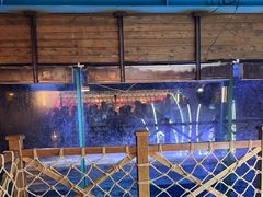 -海合安青岛极地海洋公园