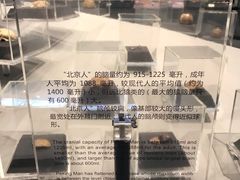 -北京周口店北京人遗址博物馆