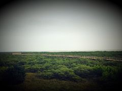 -北海金海湾红树林生态旅游区