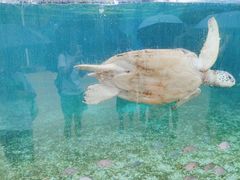 -广州海洋馆