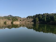 -四明山国家森林公园