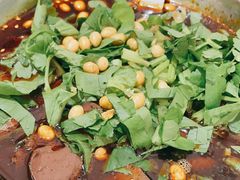 -大邑李记肥肠血旺