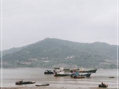 -北岐滩涂