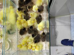 -三旗百汇商品城