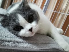 -牛叔鲜羊肉铜火锅(远东小区店)