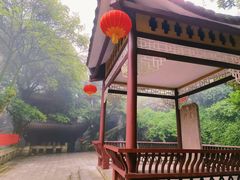 -缙云山景区