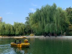 -团结湖公园