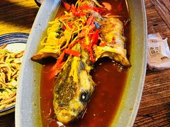 仔姜双椒烤江团-听香·678茶铺(猛追湾店)