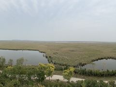 -南大港湿地风景区