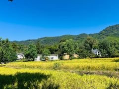-塔川景区