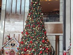 -深圳星河丽思卡尔顿酒店