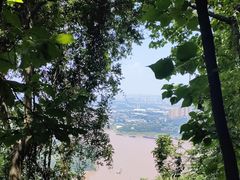 -铁山坪森林公园