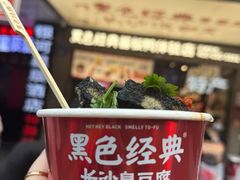 -黑色经典臭豆腐·湖南特产(步行街店)