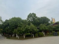 -南翠屏公园