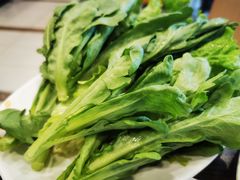 茼蒿拼油麦菜-呷哺呷哺 黄金牧场 (欢乐谷店)