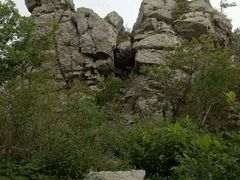 -牛背梁国家森林公园