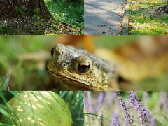 -浙江万里学院(钱湖校区)