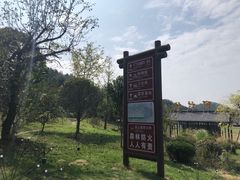 -黄陂区野村谷景区