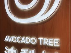 -油梨树AVOCADO TREE(嘉里中心店)
