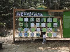 -上海佘山国家森林公园天马山园