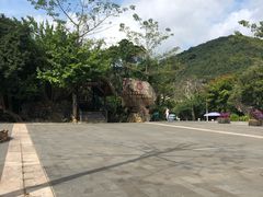 -海南槟榔谷黎苗文化旅游区