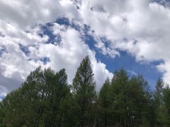 -白草畔自然风景区