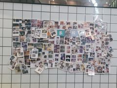 -半岛宠物医院24小时(科华中路店)