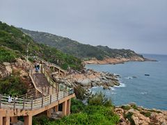 -广东惠东海龟国家级自然保护区