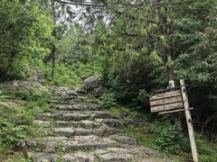 -阳台山自然风景区