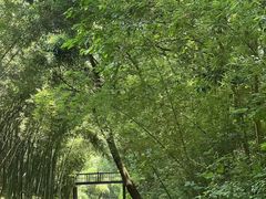-同里国家湿地公园