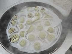-菊园百果园