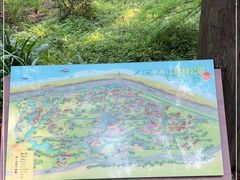 -上海滨江森林公园