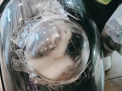-爱侣·安琦尔宠物医院·中兽医针灸·心内科·狂犬免疫点(宝山区院)
