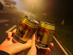 -沈阳辉山风景区