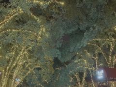 -COMMUNE幻师(花园道店)