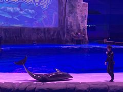 -华夏文旅海洋公园