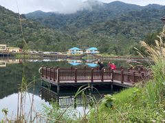 -海南热带雨林国家公园吊罗山景区