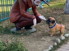 -蓬莱欧乐堡梦幻世界