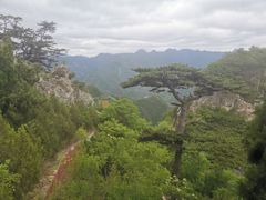-圣莲山风景区
