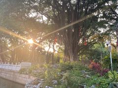 -荔湾湖公园