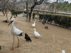 -森林公园(尖草坪区)