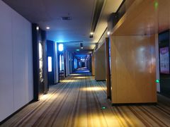 -博纳国际影城IMAX(中央大道店)