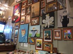 -猫咪博物馆(顶澳仔猫街店)